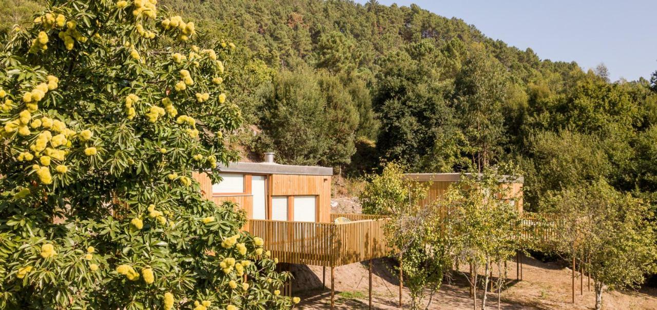 Aloia Nature, Alojamiento Forestal Tui Exterior foto
